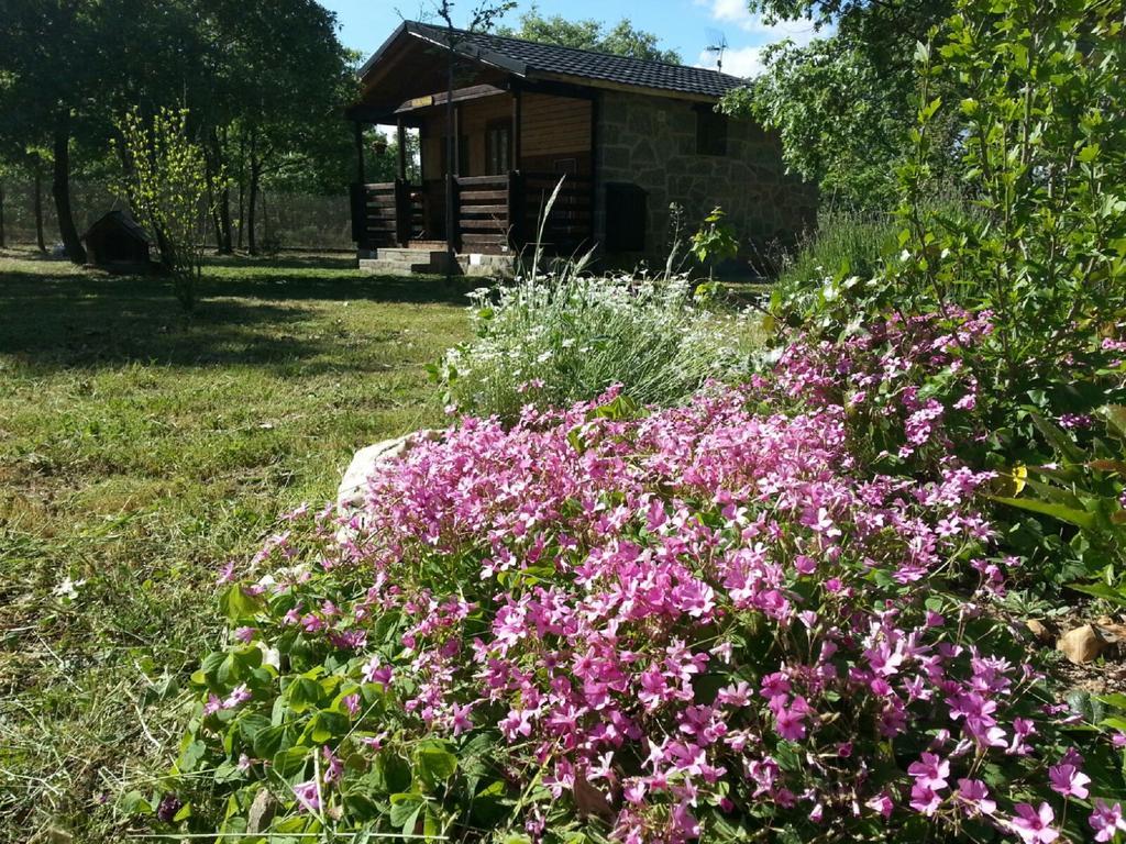 Manzanal de los Infantes Cabanas Vallecino מראה חיצוני תמונה