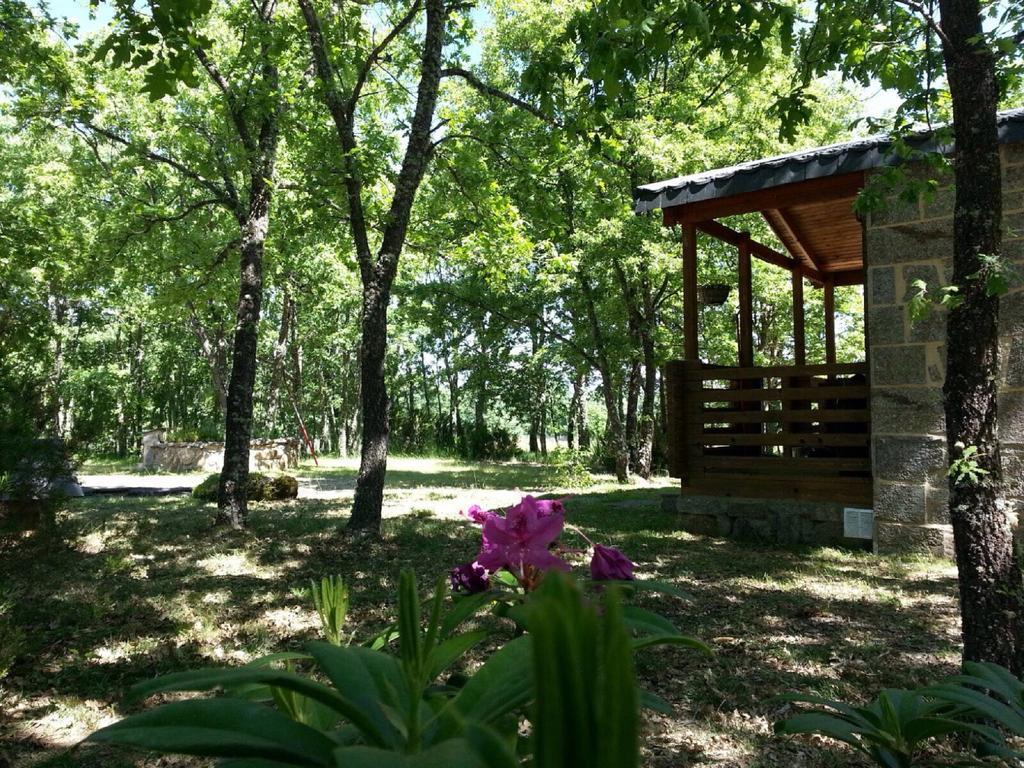 Manzanal de los Infantes Cabanas Vallecino מראה חיצוני תמונה