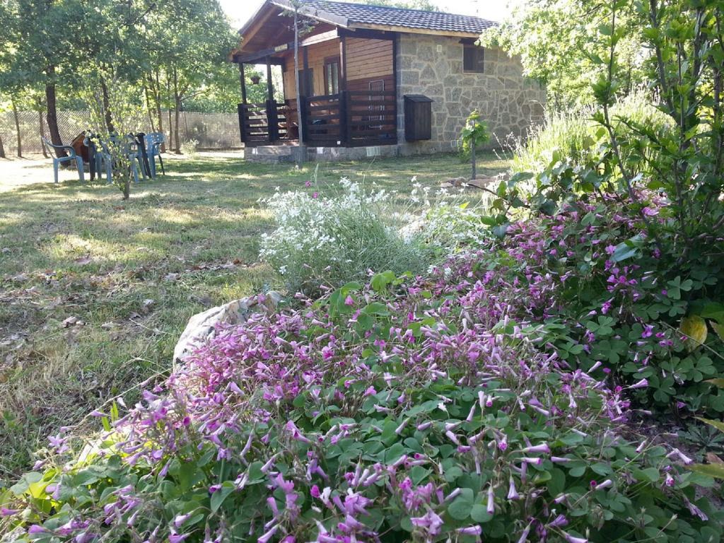 Manzanal de los Infantes Cabanas Vallecino מראה חיצוני תמונה