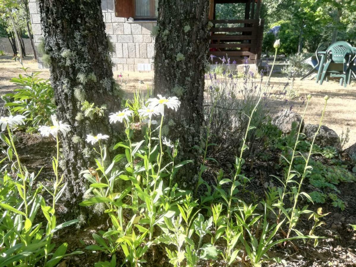 Manzanal de los Infantes Cabanas Vallecino מראה חיצוני תמונה