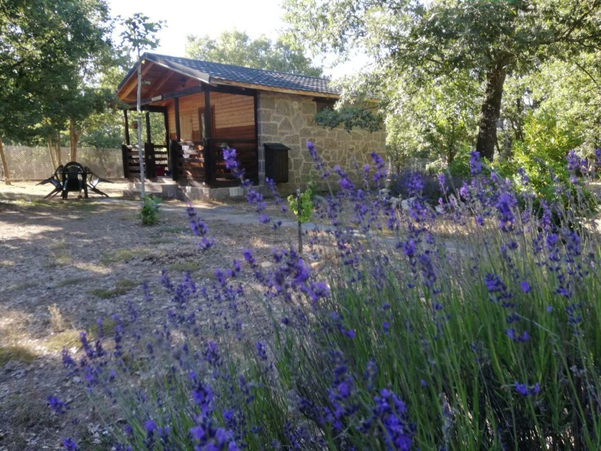 Manzanal de los Infantes Cabanas Vallecino מראה חיצוני תמונה