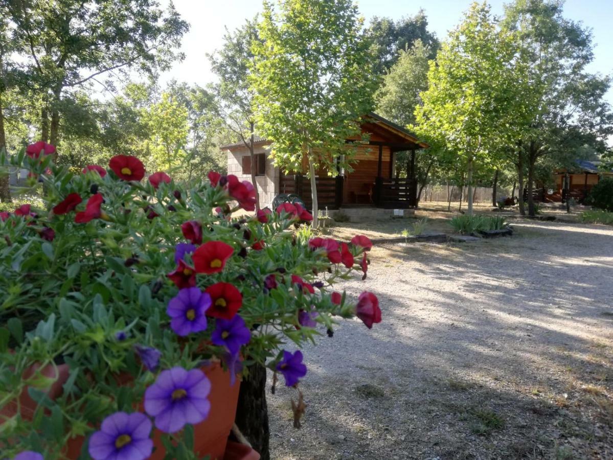 Manzanal de los Infantes Cabanas Vallecino מראה חיצוני תמונה